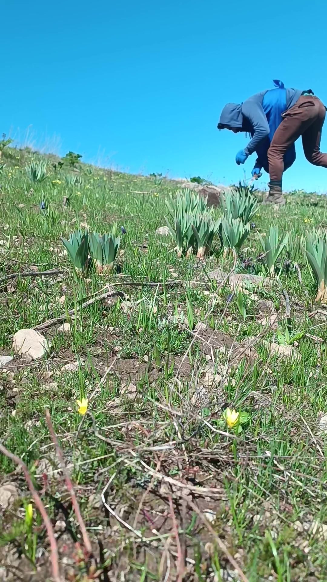 @&Ouml;zkan Boz☑️