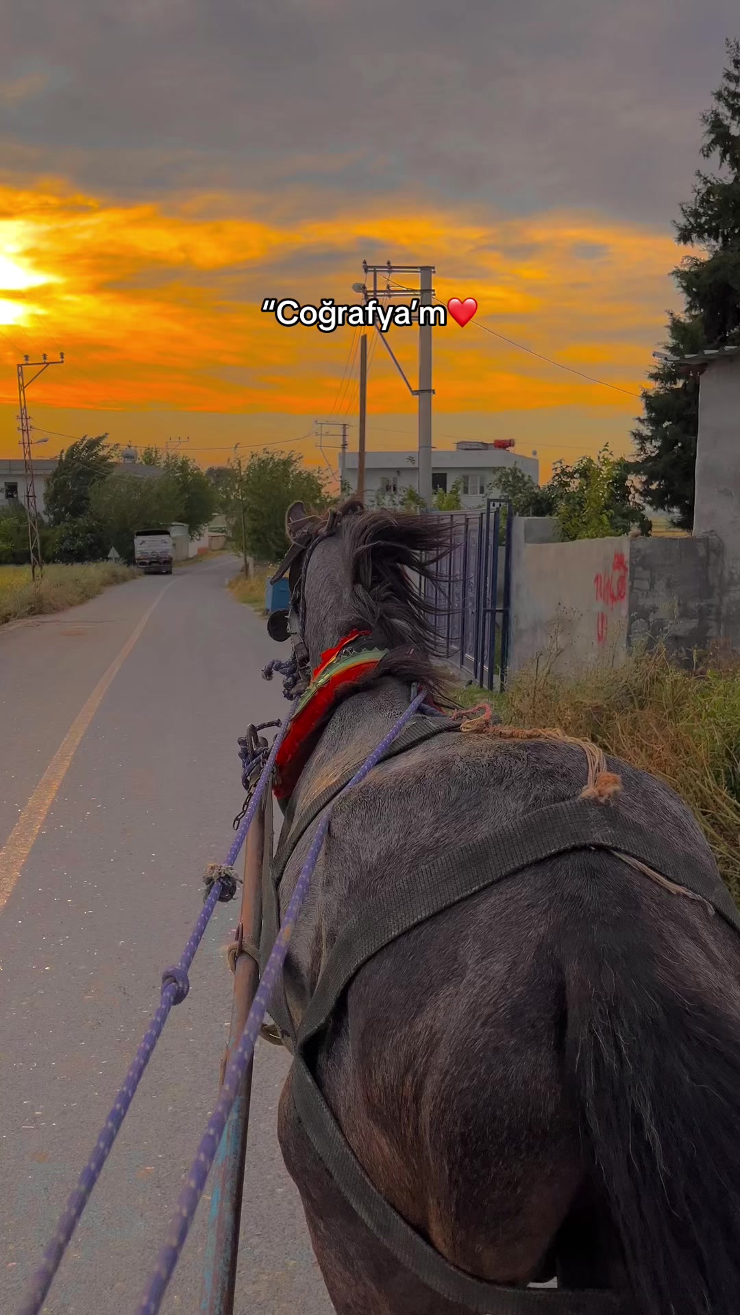 @𝑩𝒆𝒔̧𝒊𝒓 𝑲𝒐𝒓𝒌𝒎𝒂𝒛🍂
