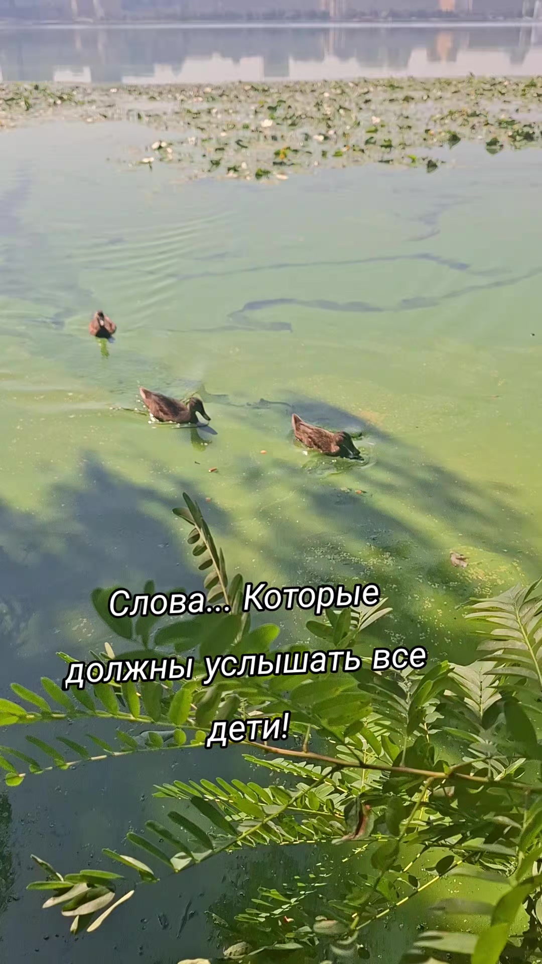 @Татьяна