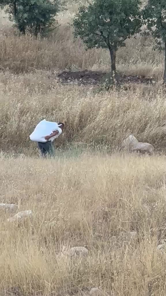 @ŞEHİTOĞLU