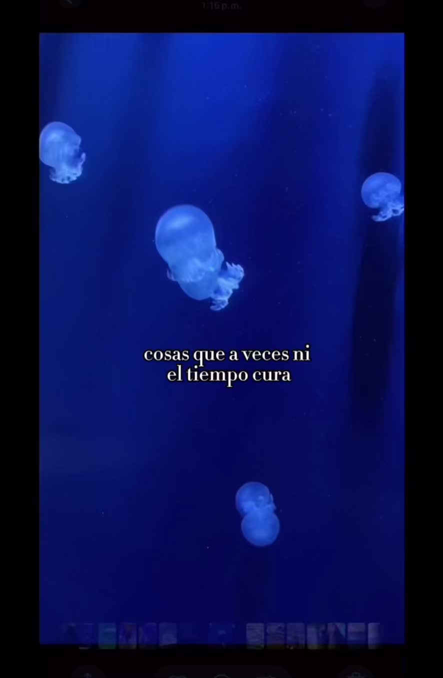 @Rita ❤️