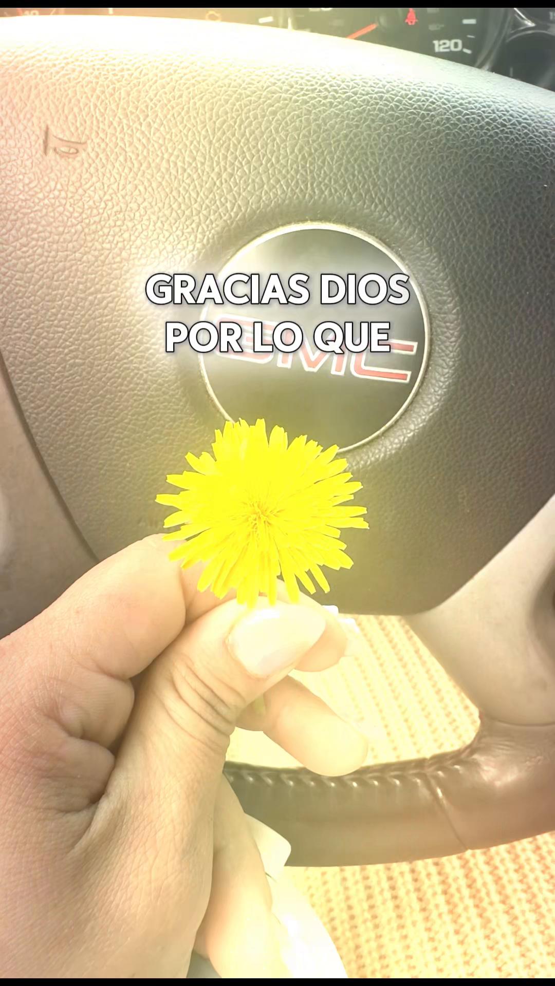 @ChriistiinaZepeda280