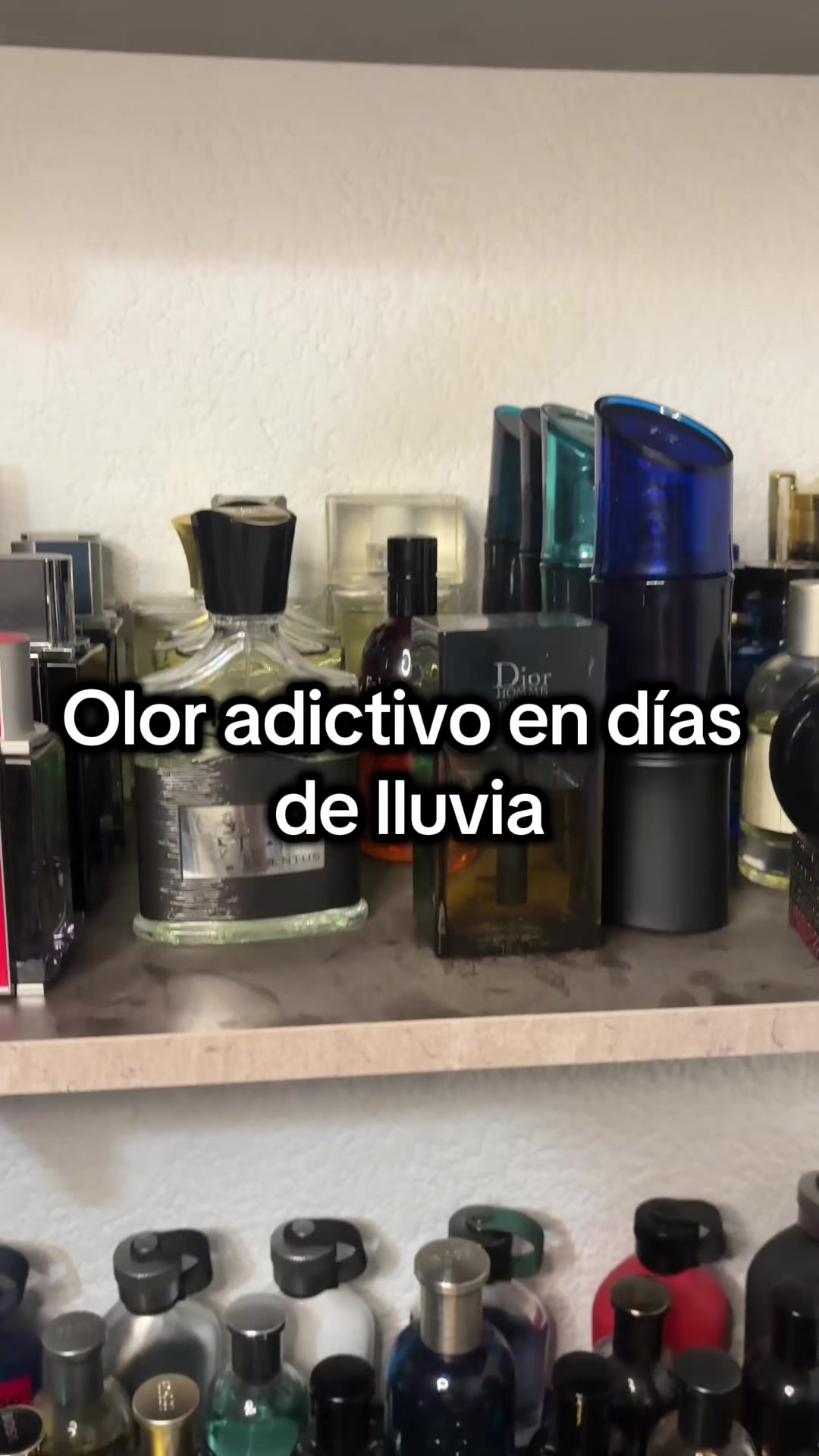 @DonParfum😎