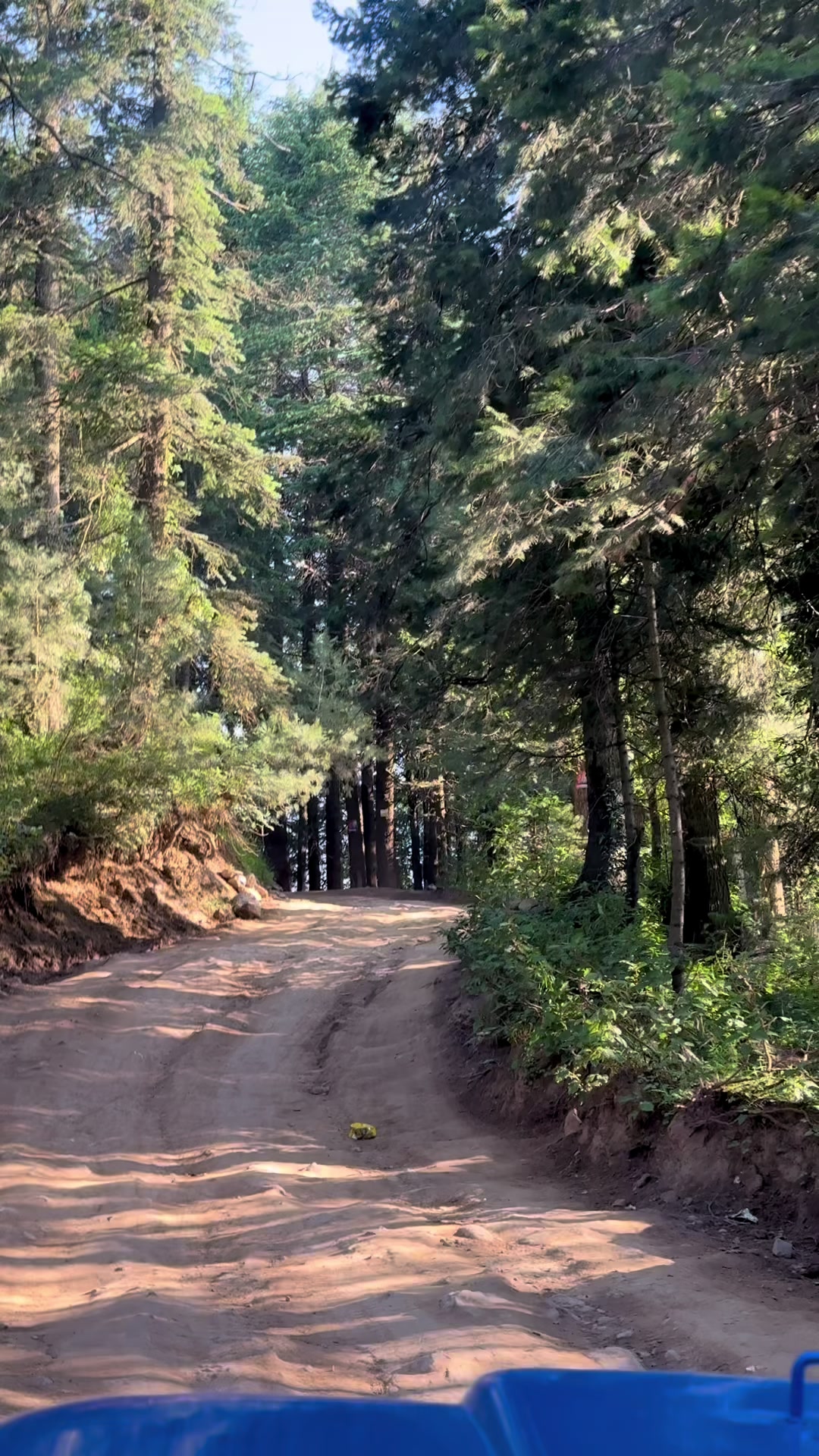 @Shogran Vibes