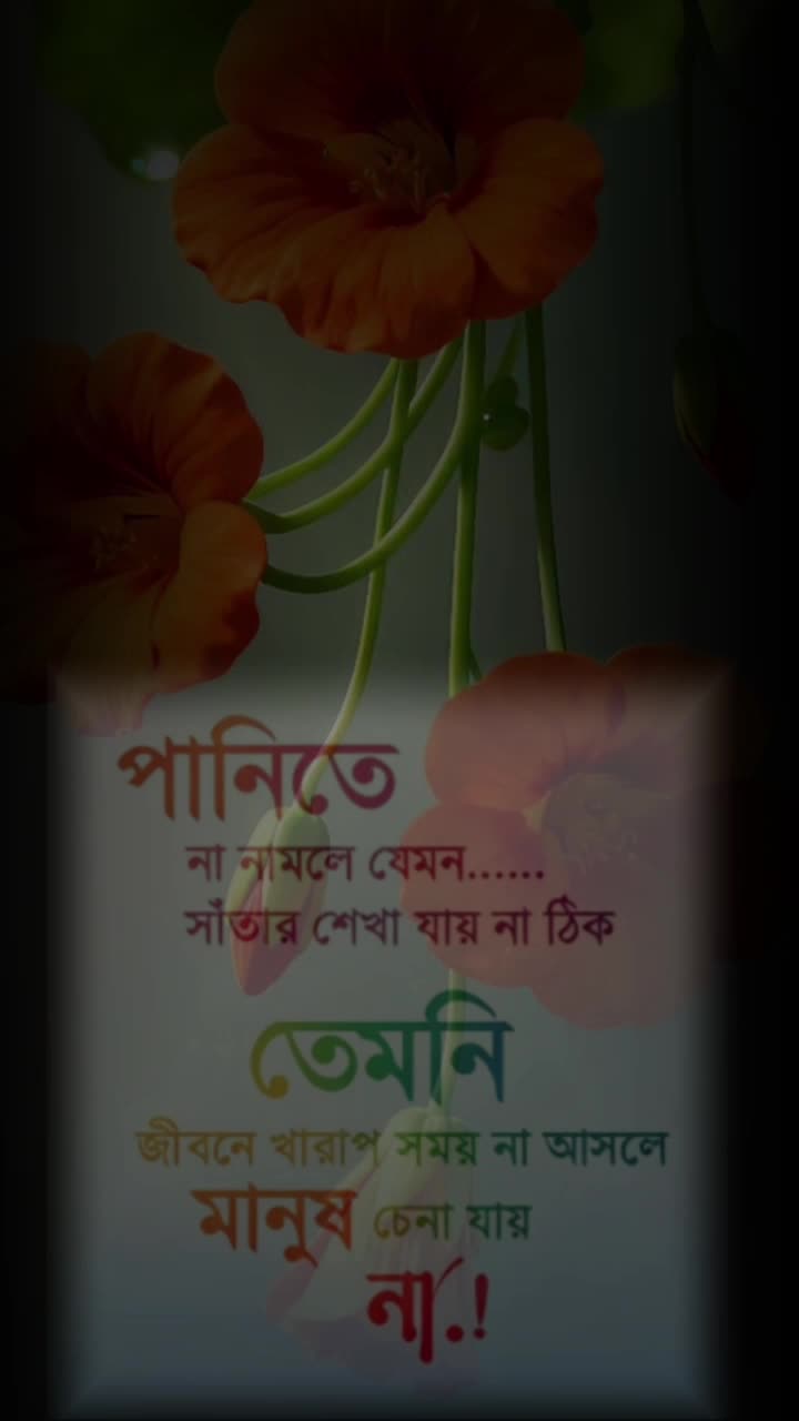 @user8123701182915. jan pakhi