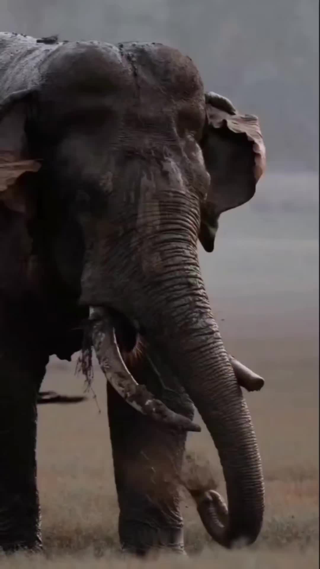 @யோகேந்திரன் யோகேந்திரன்
