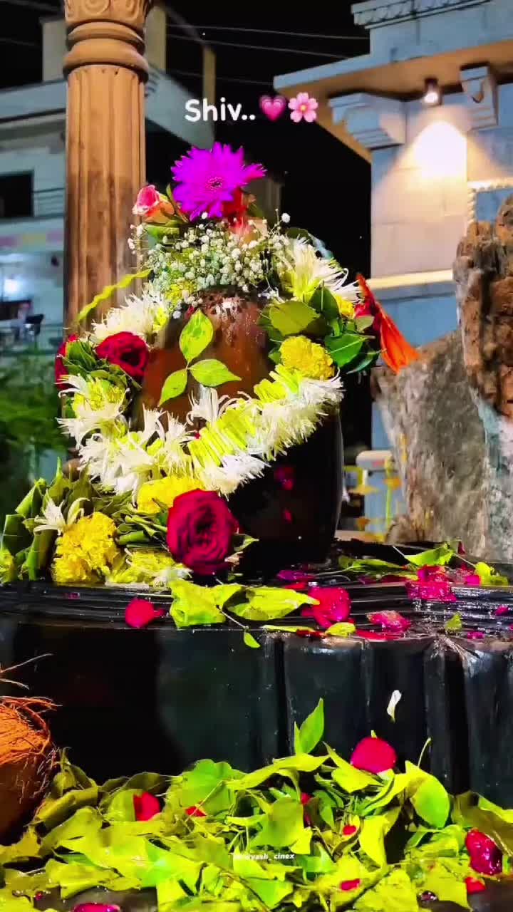 @✨❤️MAHADEV ka deewana 📿🙇🏻