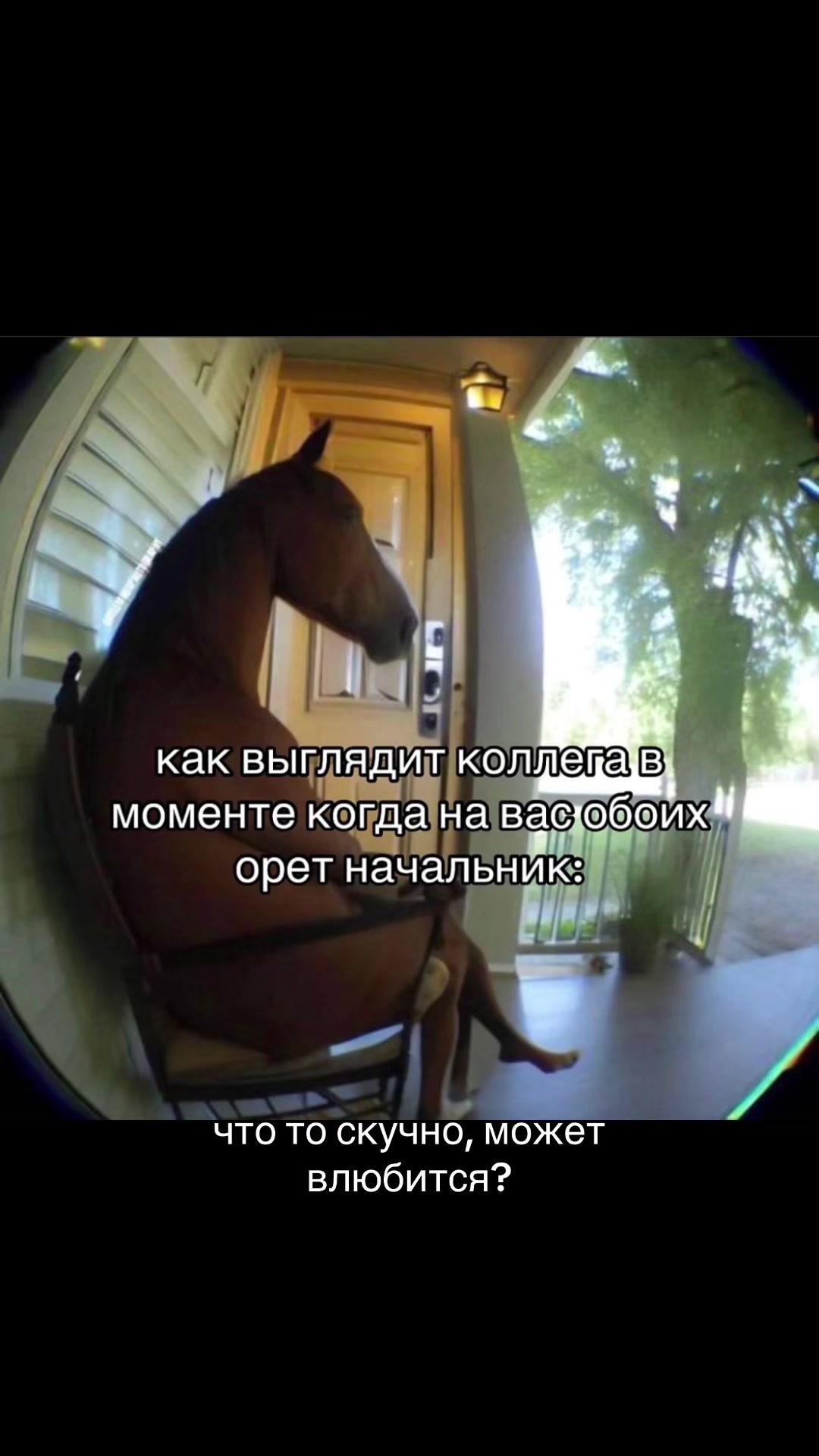 @syeta_krasnoyarsk