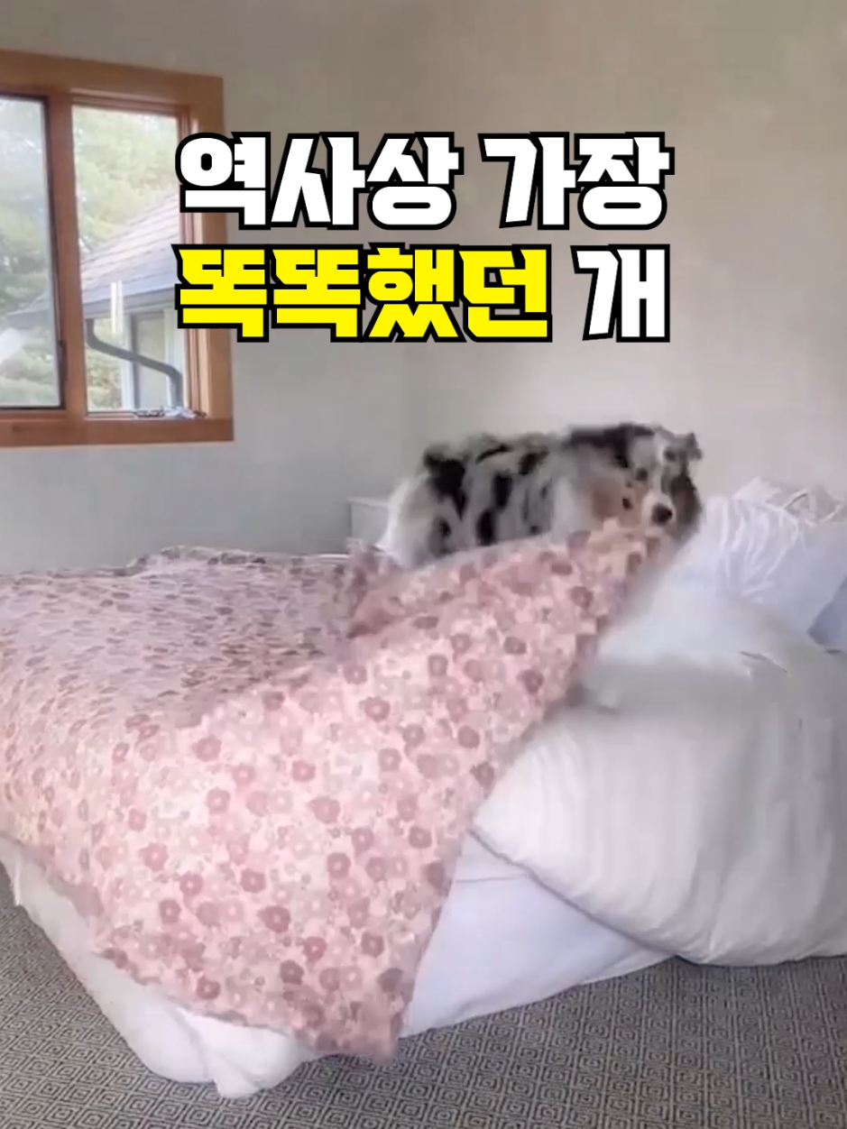 @뚝딱 상식 뚝배기
