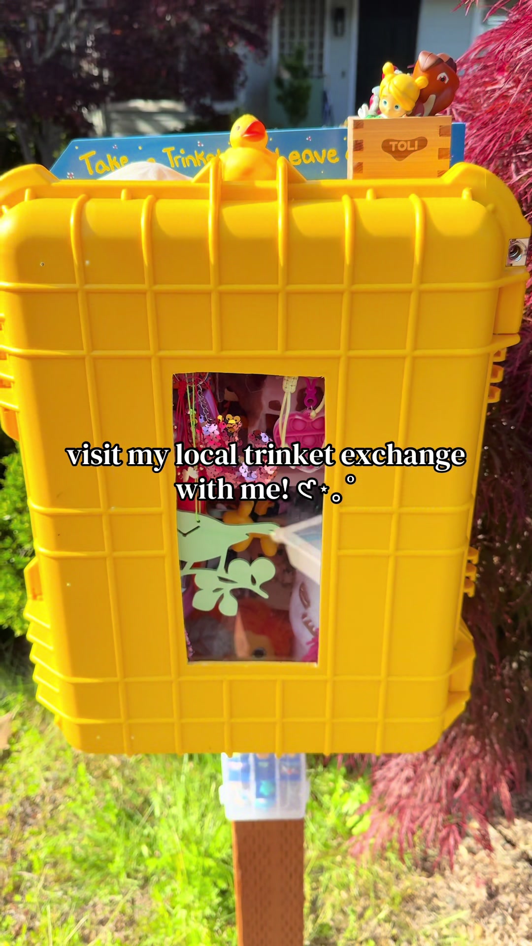 @ap 🍙 ⋆⭒˚.⋆