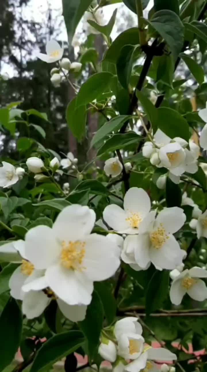 @Роза Долгова