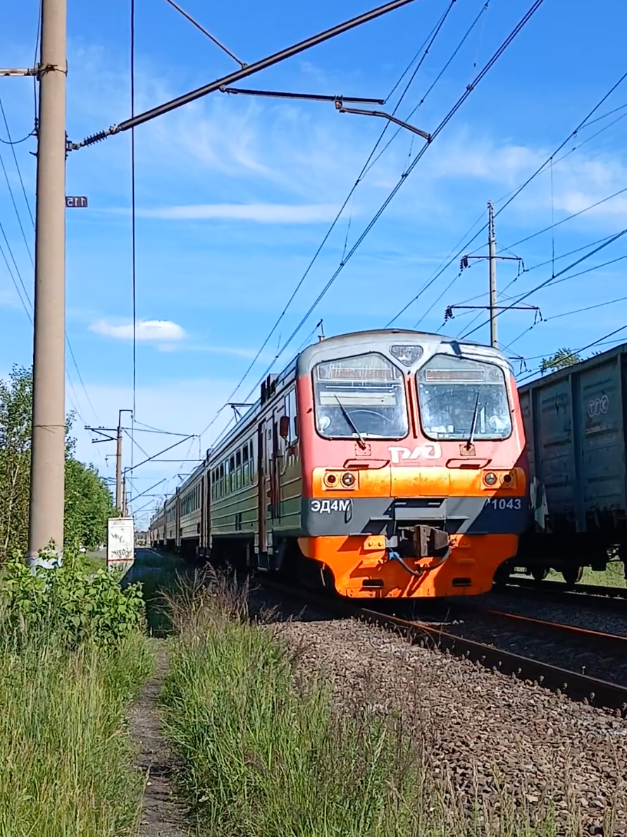 @Михалыч