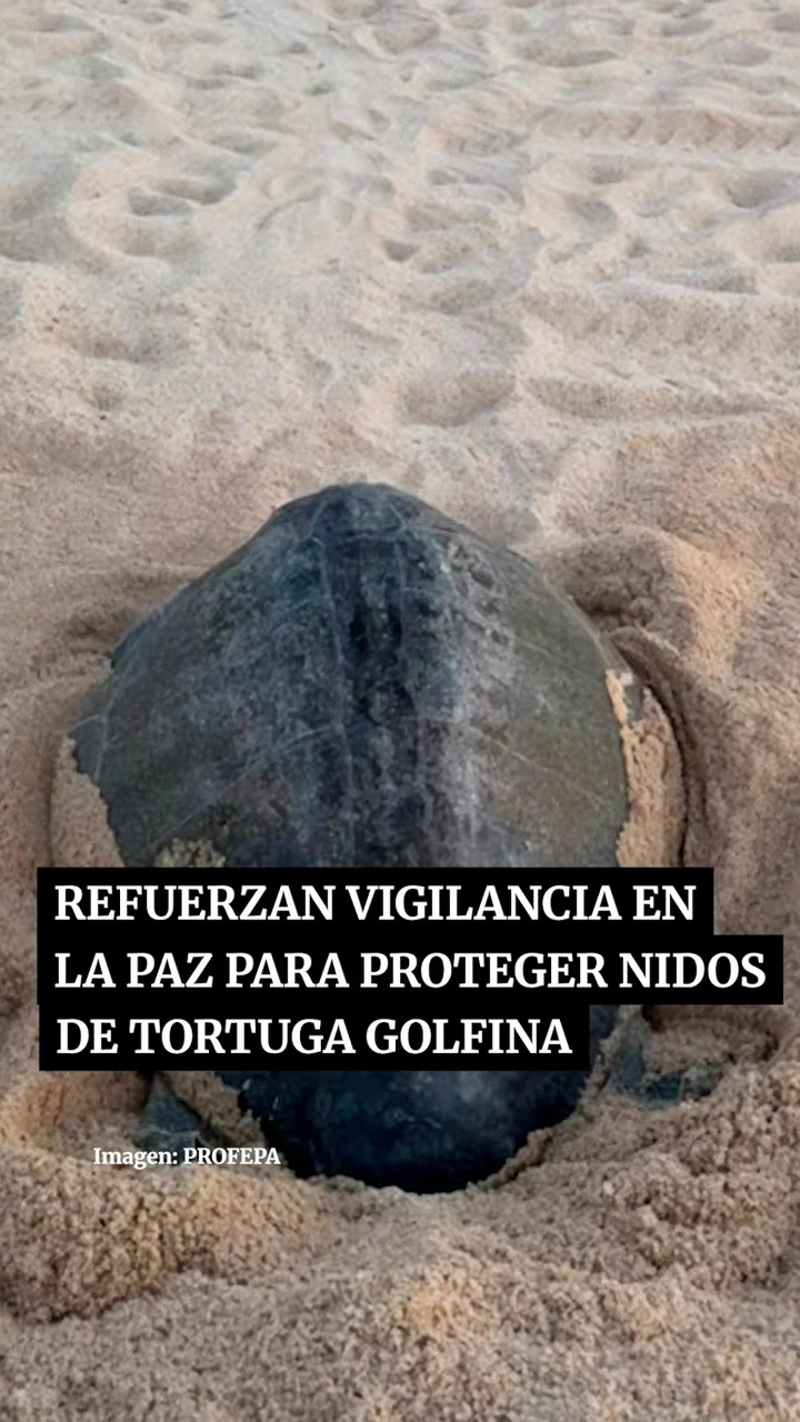 @Peri&oacute;dico Exc&eacute;lsior