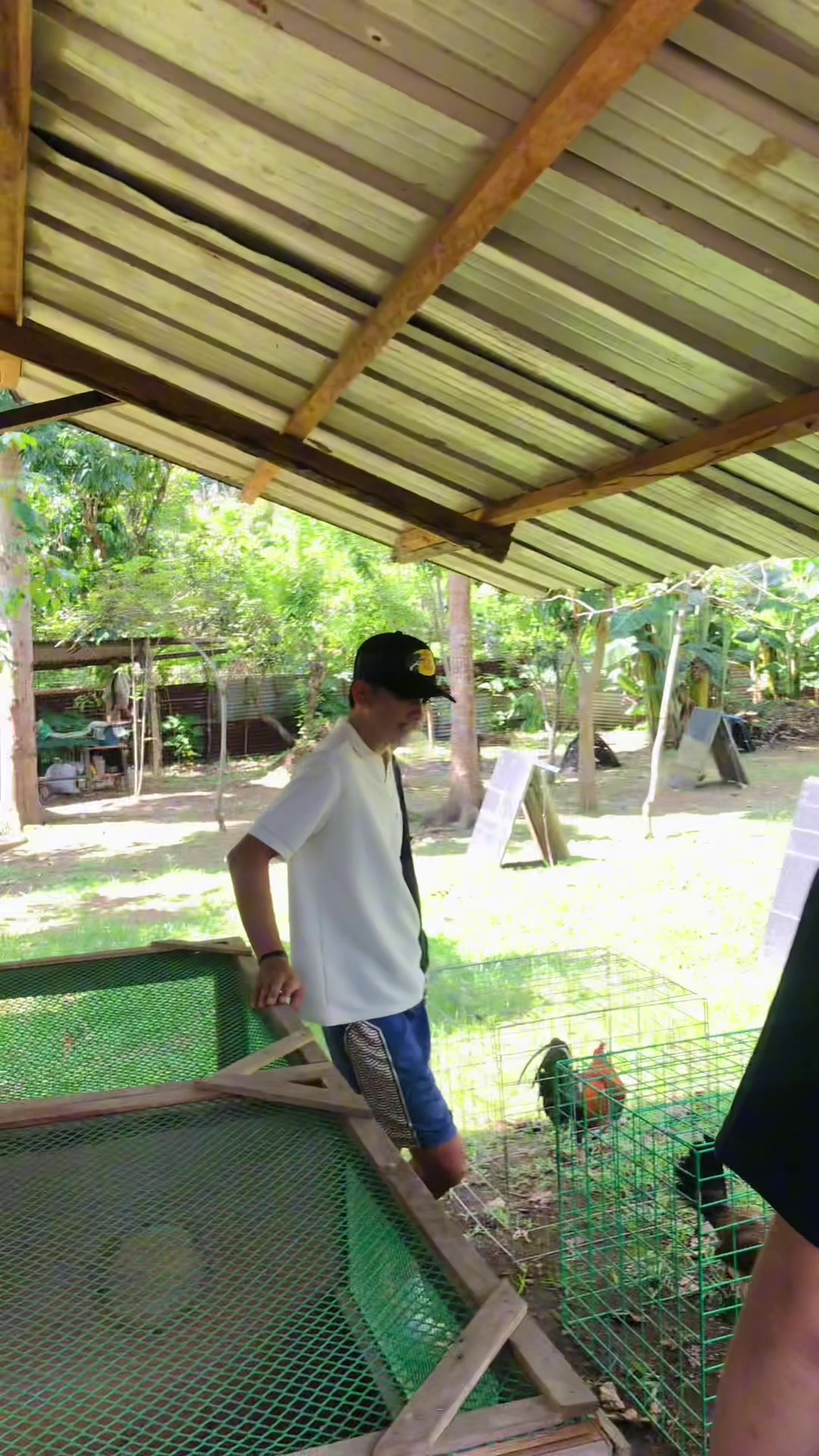 @Superline Gamefarm