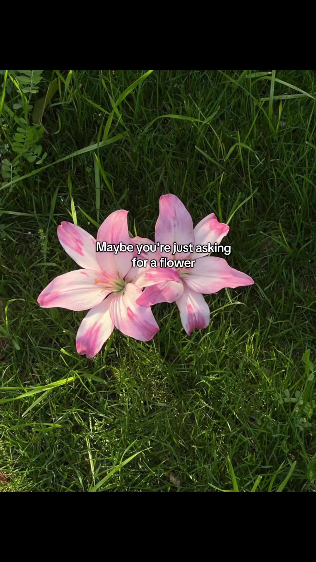 @๐ฉโก