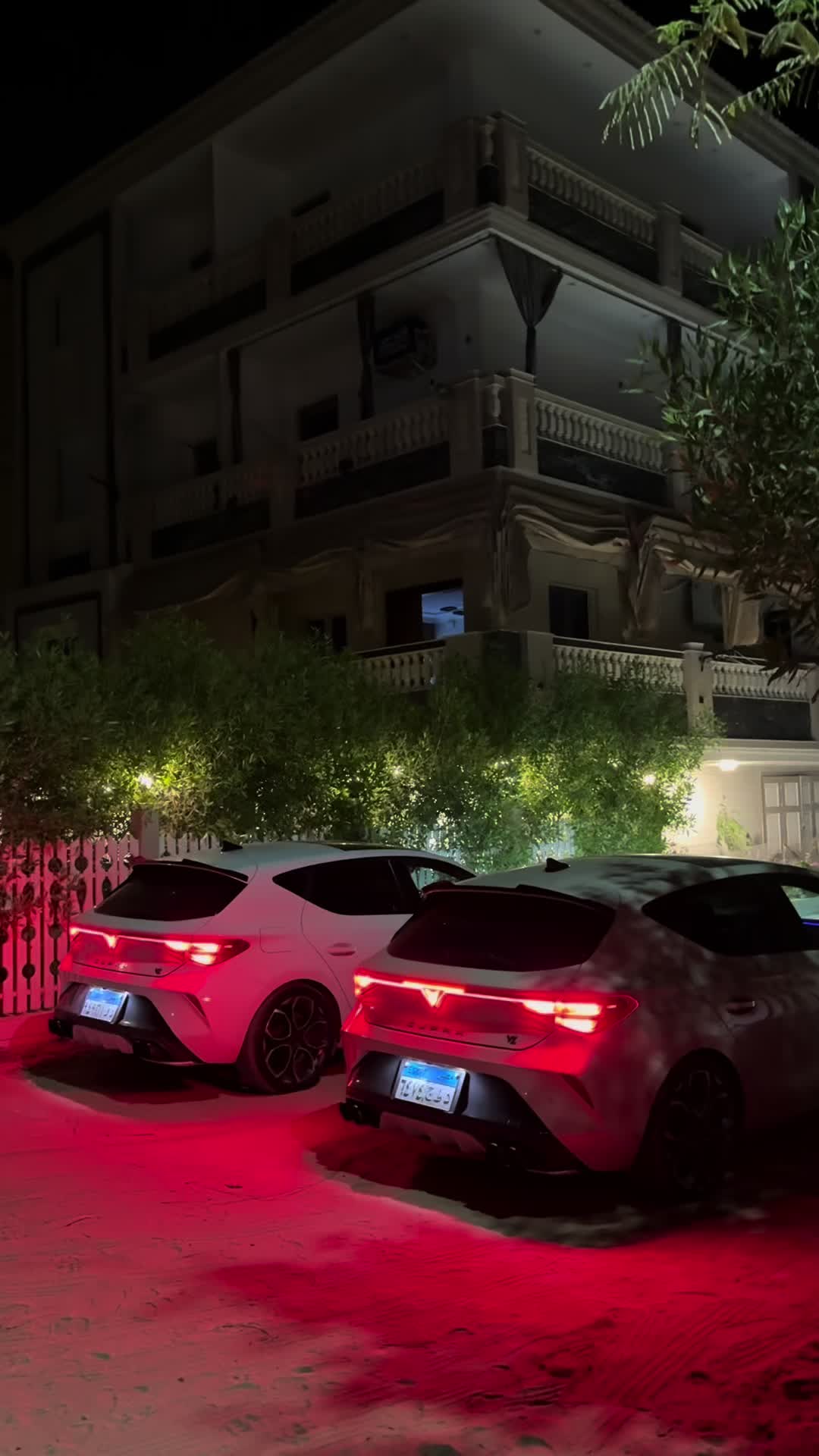 @Mohamed Emad🐍