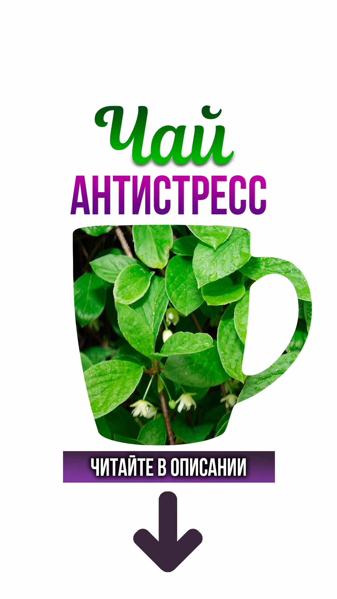 @ЗОЖнавигатор