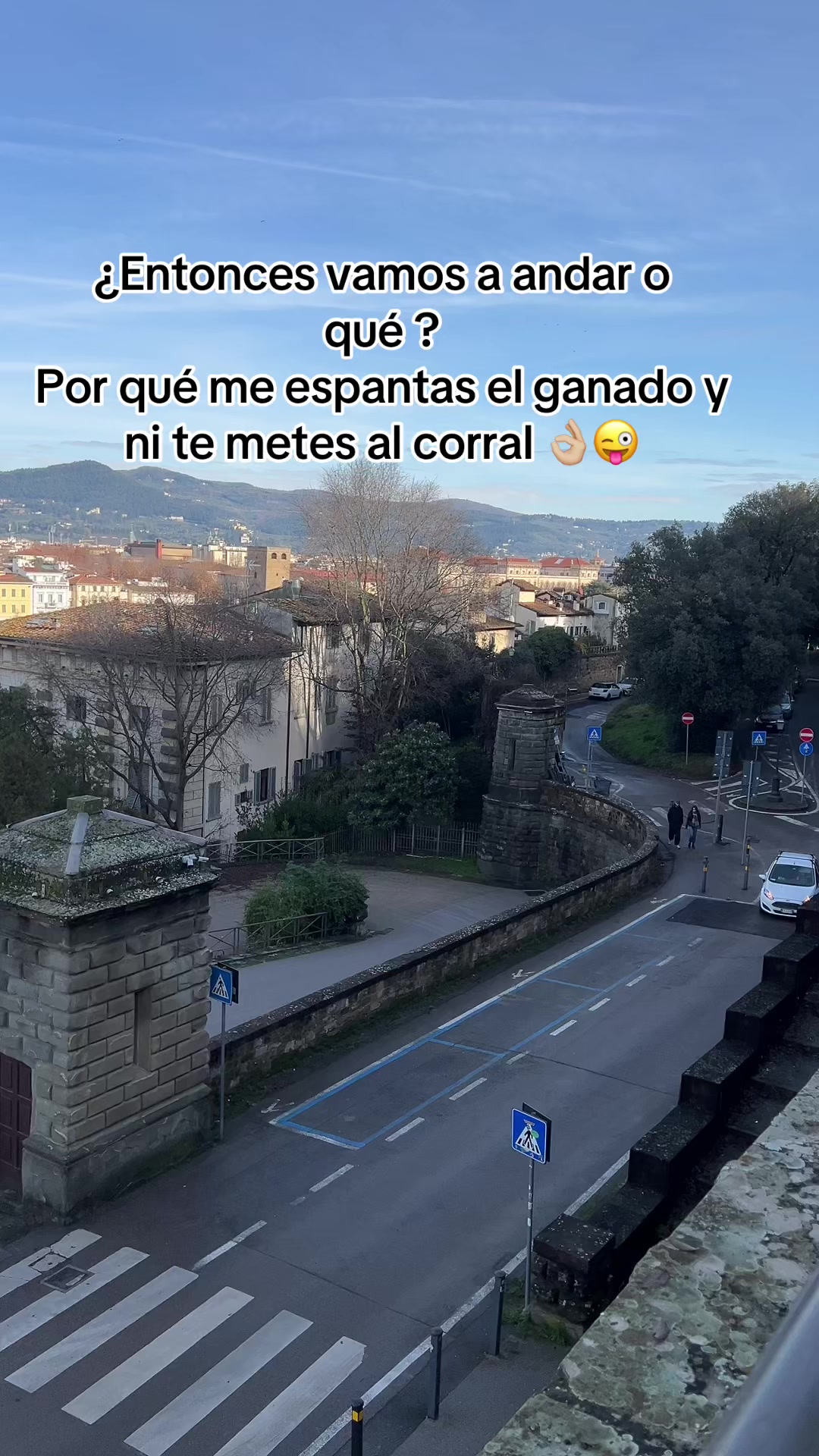 @Mariana Gil