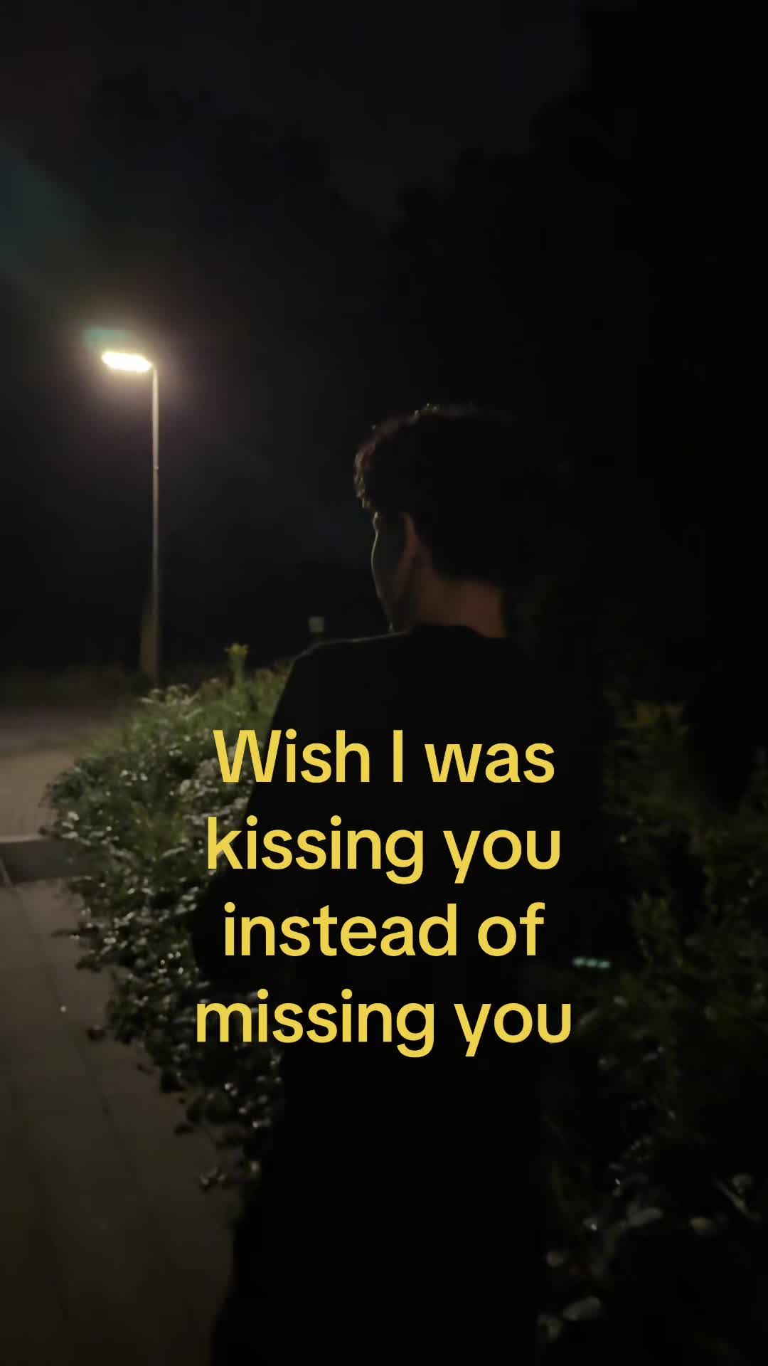 @yazii