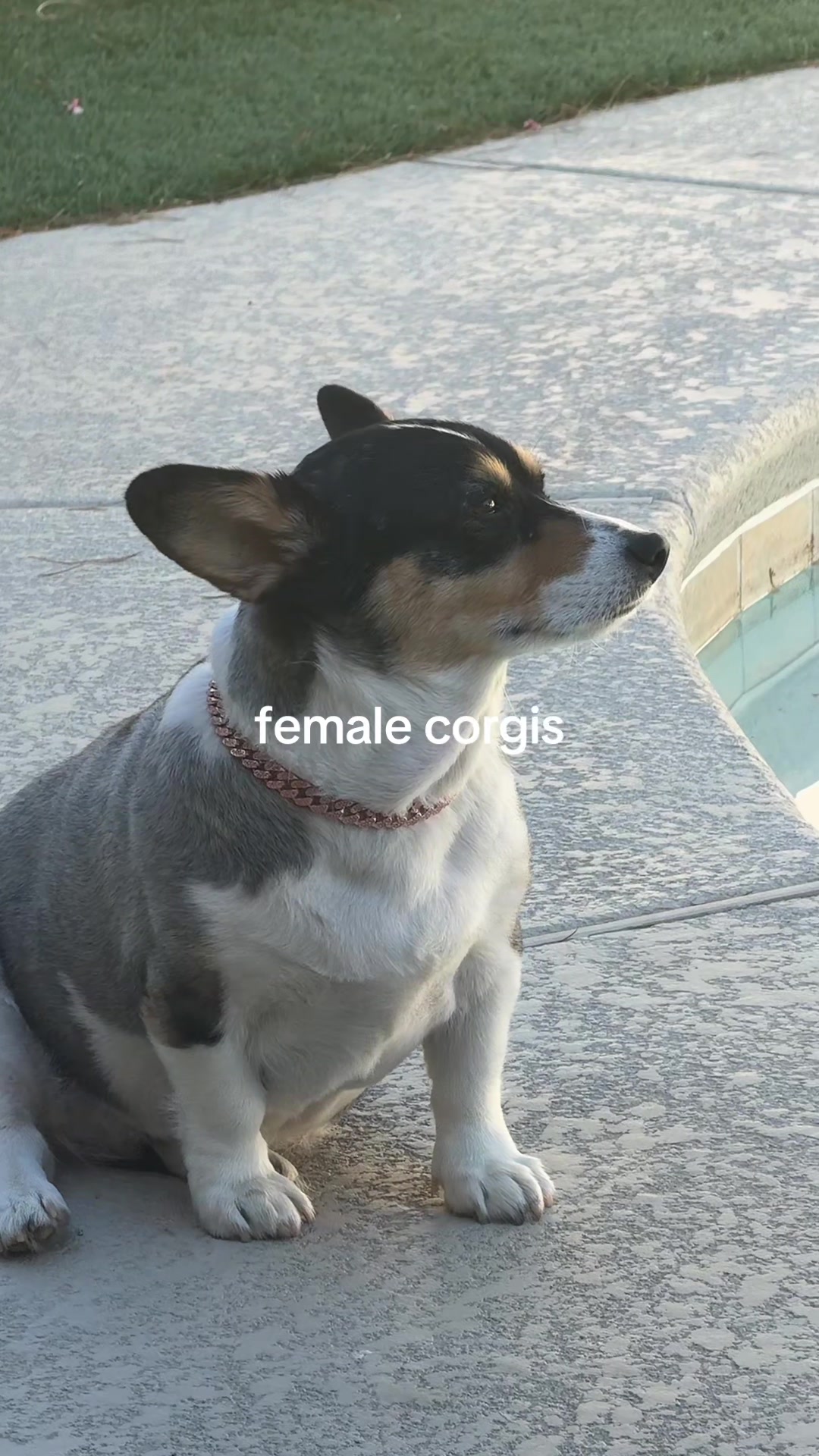 @molly stewart ™