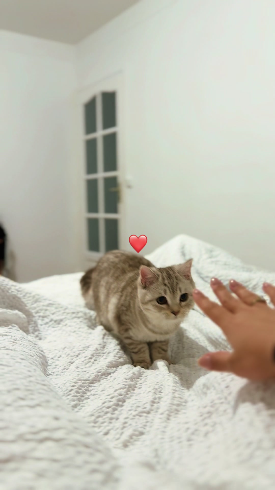 @Niko🌸