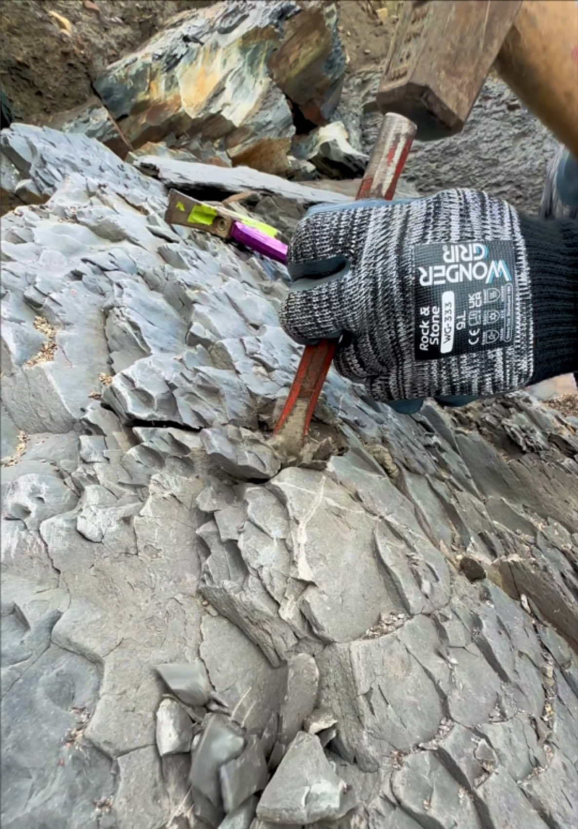@yorkshire.fossils