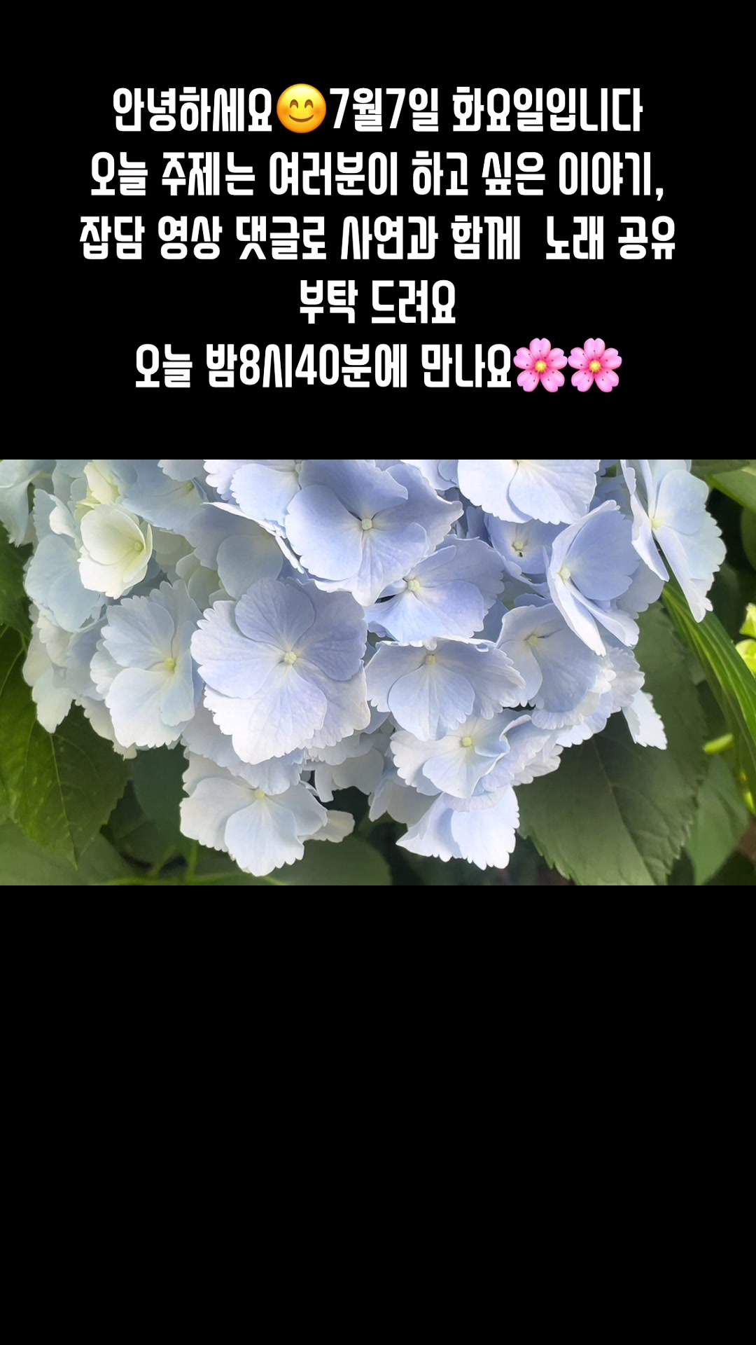 @🪴줄리애쉬