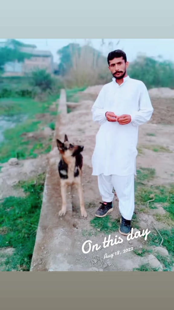 @آصف ندیم ٹوانہ،👑♥️🥀
