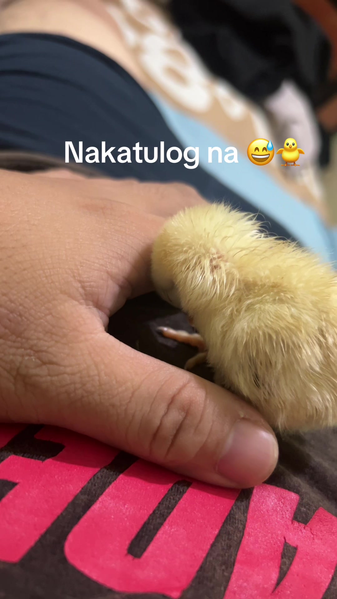 @Jjay