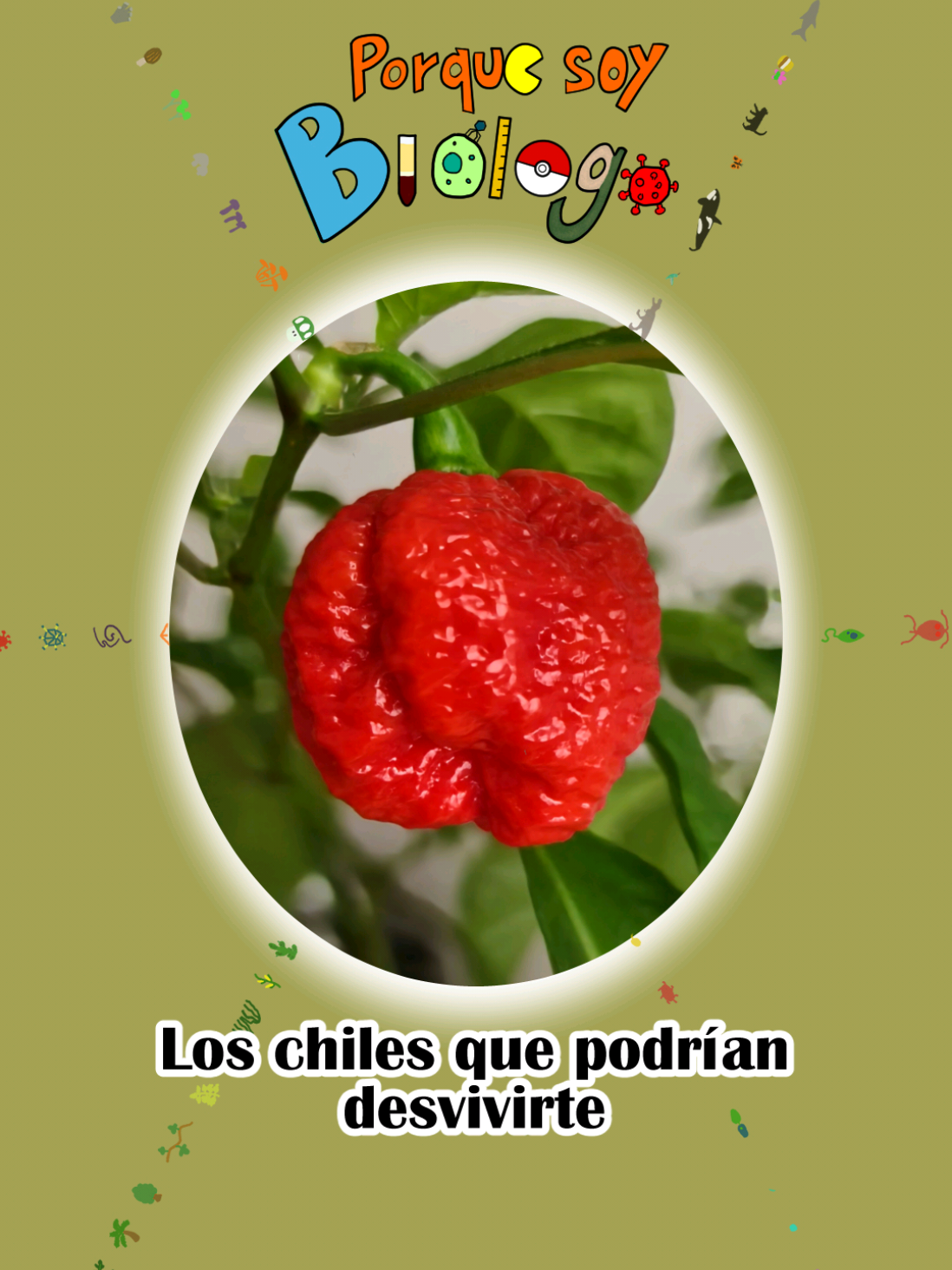 @Porque soy Biólogo