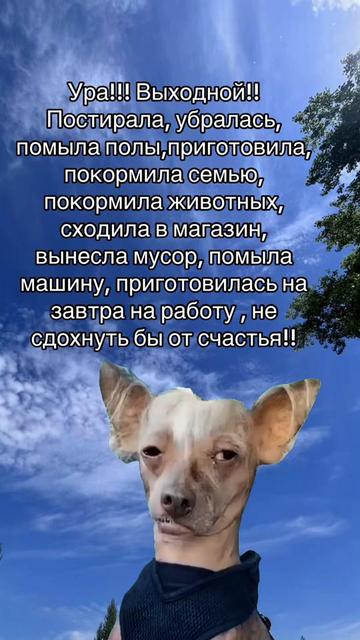 @❤️.NIN-DZUA❤️