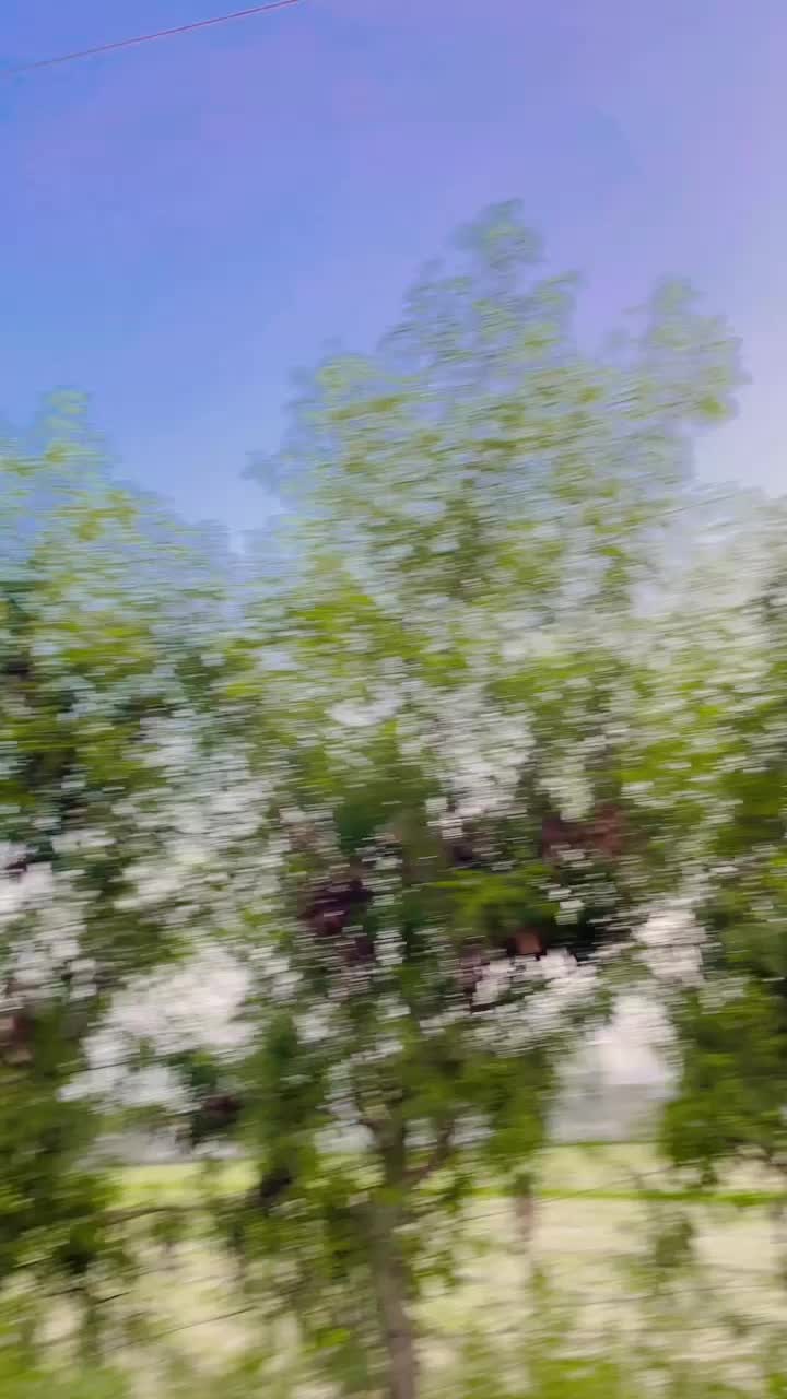 @꧁❤•༆𝕸𝖆𝖘𝖍𝖆𝖑 𝕶𝖍𝖆𝖓♥