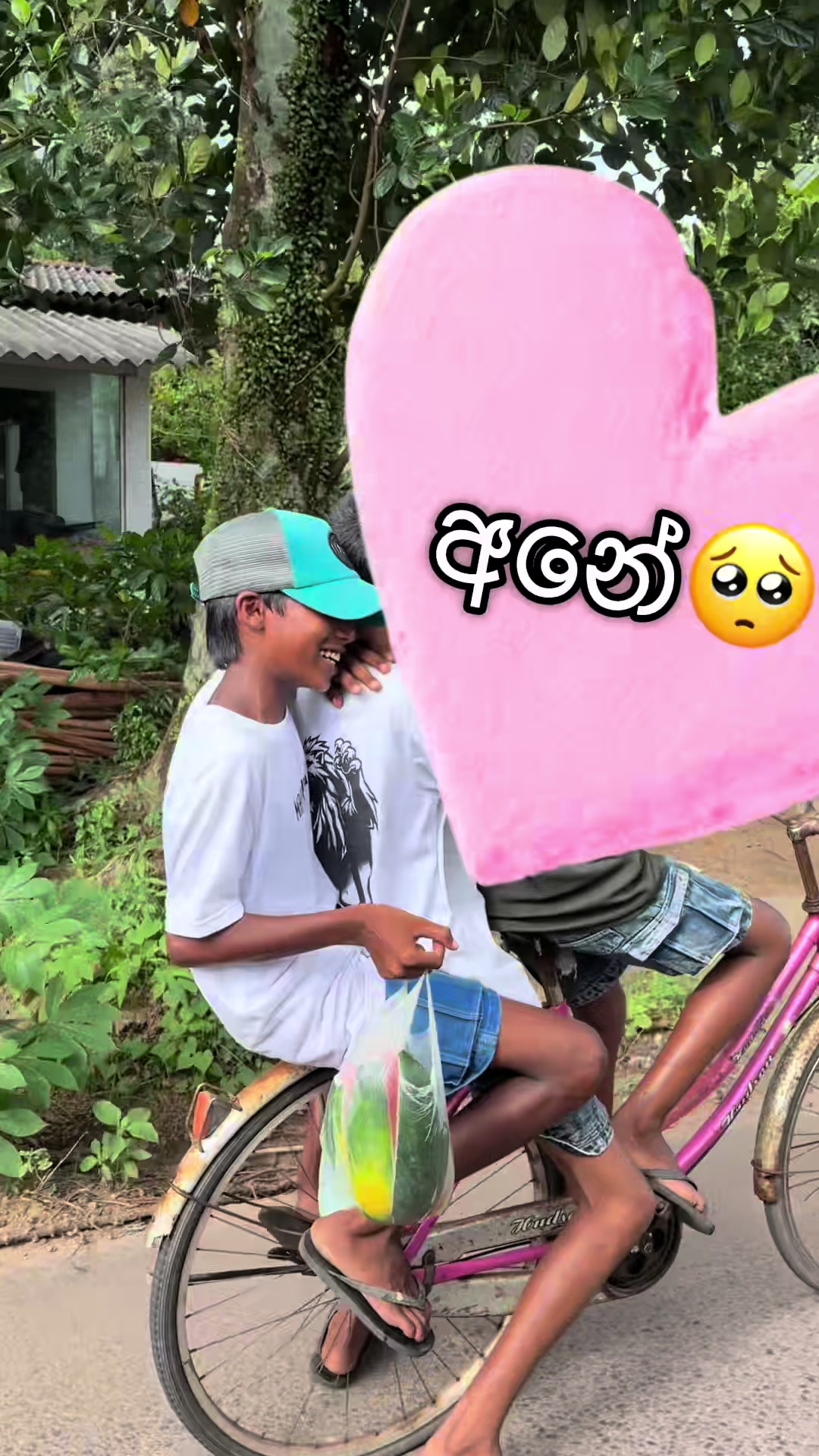 @Rashmi Upeka