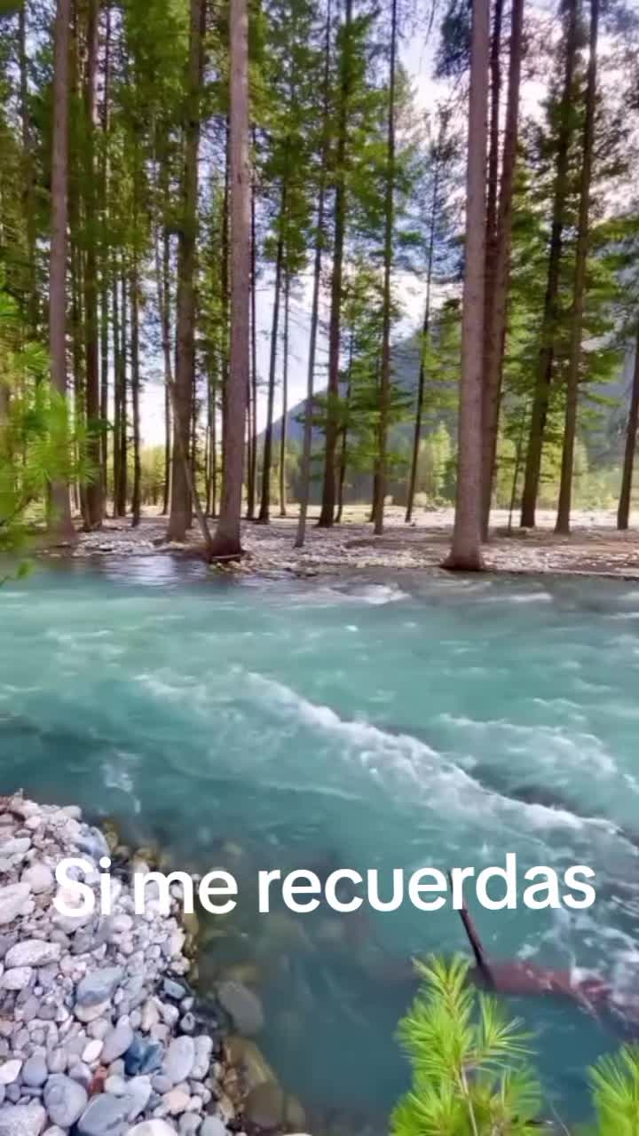 @lorenaestrada