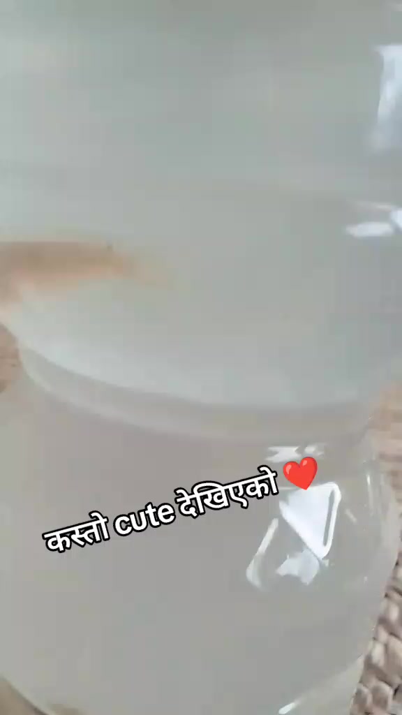 @Neyna Poudel