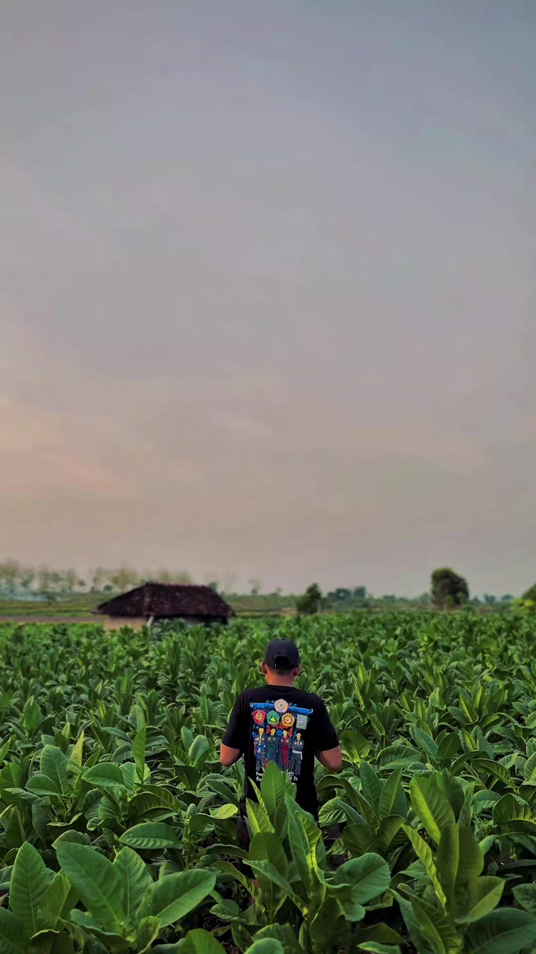 @𝐔𝐃 𝐏𝐀𝐑𝐍𝐈 𝐏𝐎𝐋𝐎𝐖𝐈𝐉𝐎