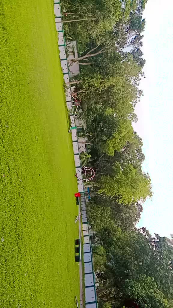 @-~*^🍀  চারু লতা!-~*^ ☘️