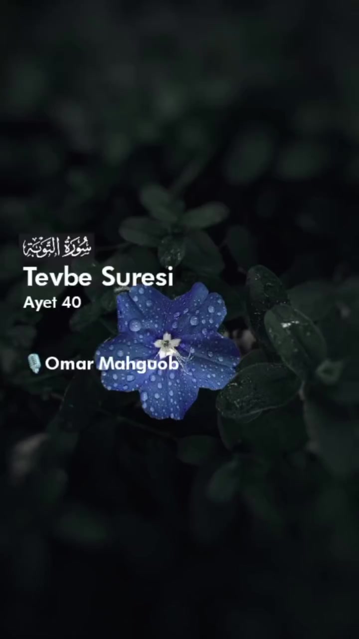 @aynur Kocakaya 280.🤲