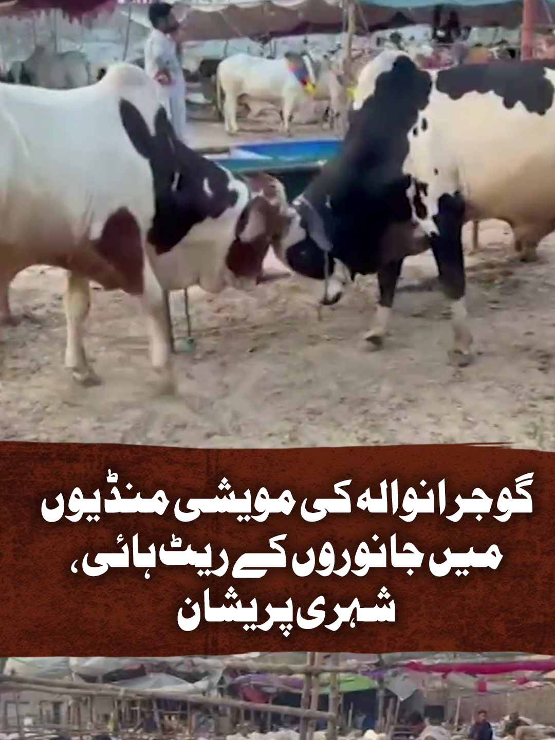 @Geo News