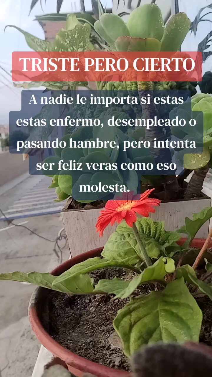 @🇵🇪MEDRANO🇵🇪