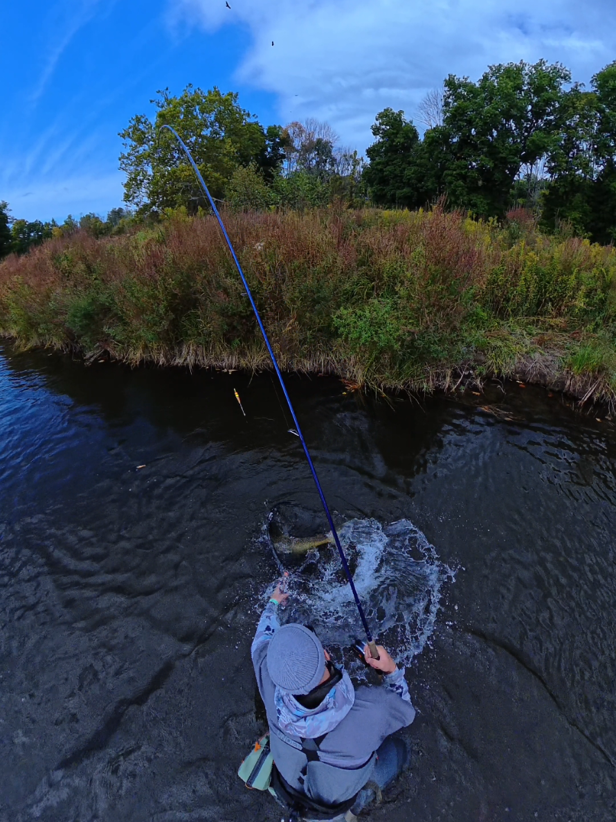 @the360angler