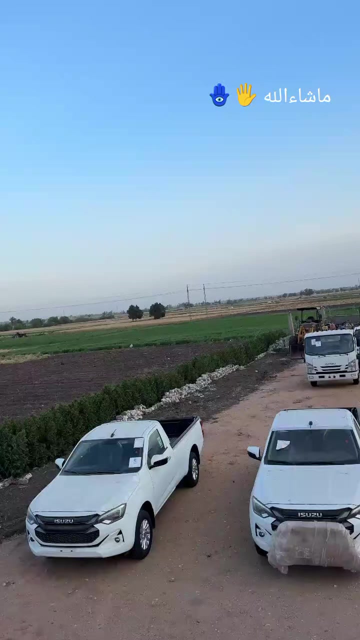 @محمد صلاح العشماوى