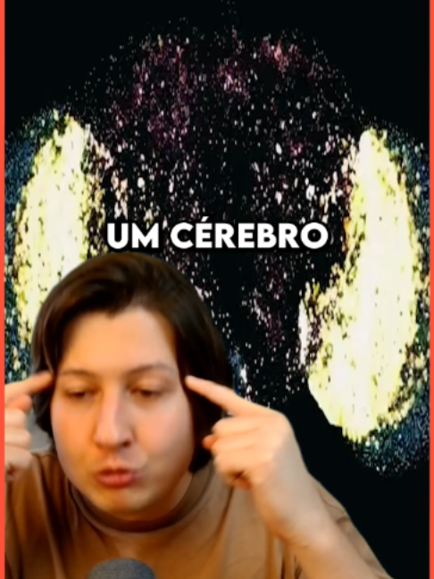 @playraymon