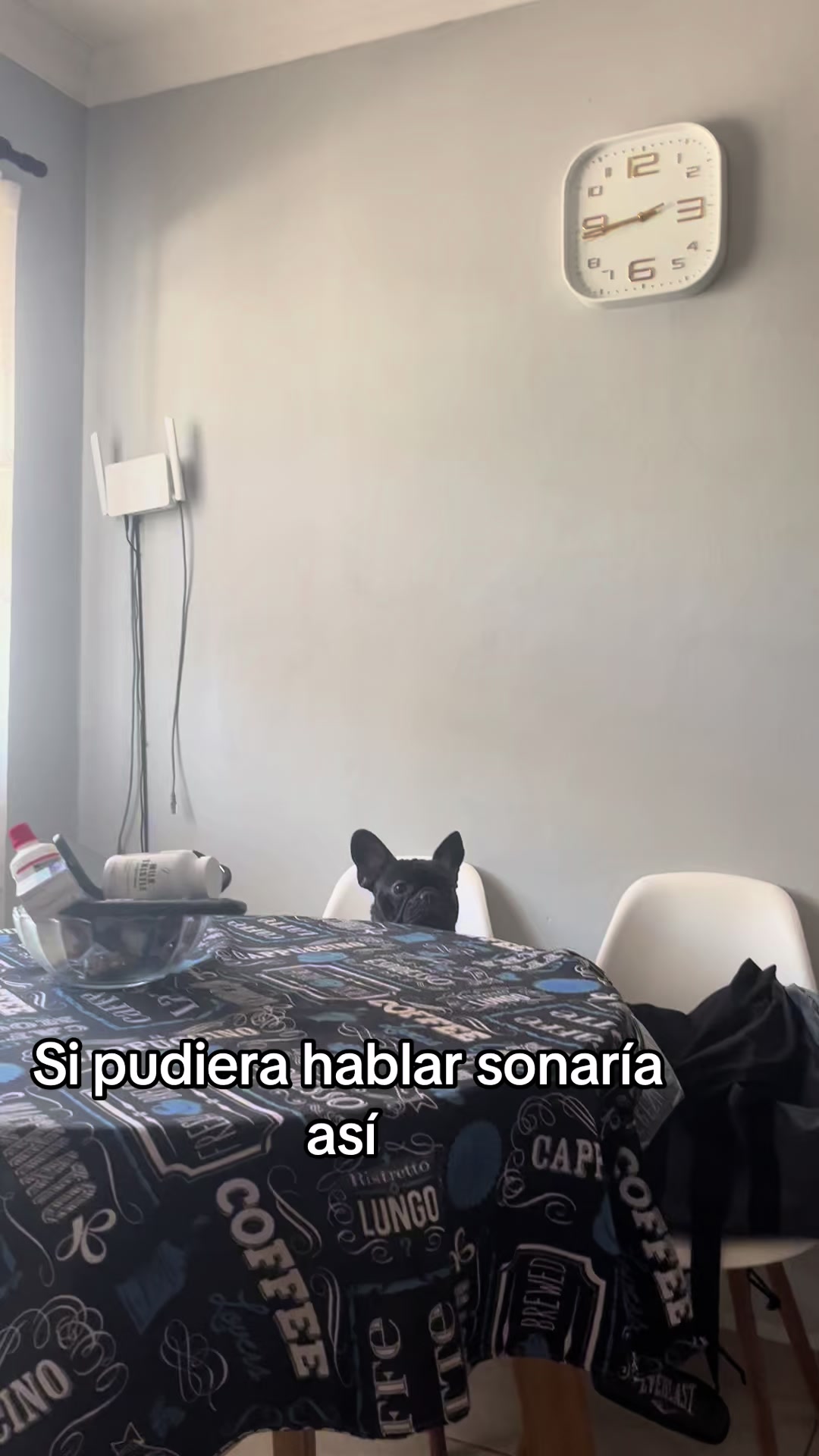 @Aldana González