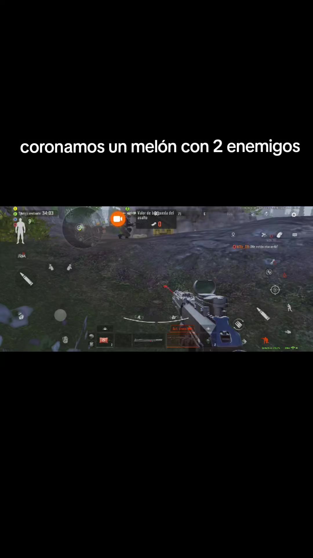 @gato de combate