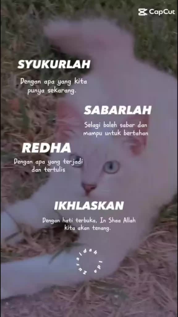 @Ida Zuraidah