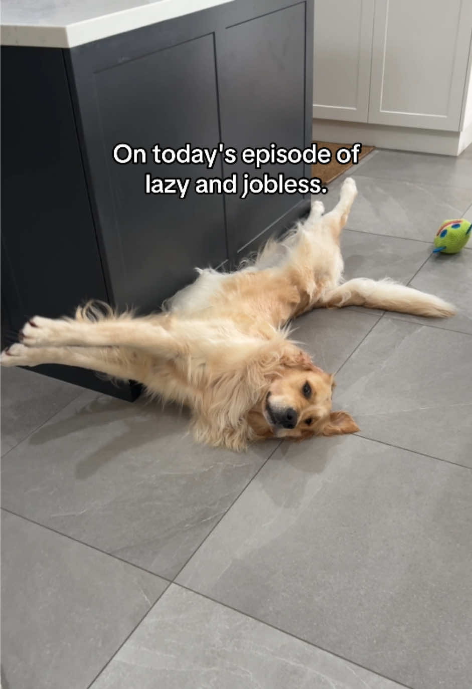 @lunas_golden_life