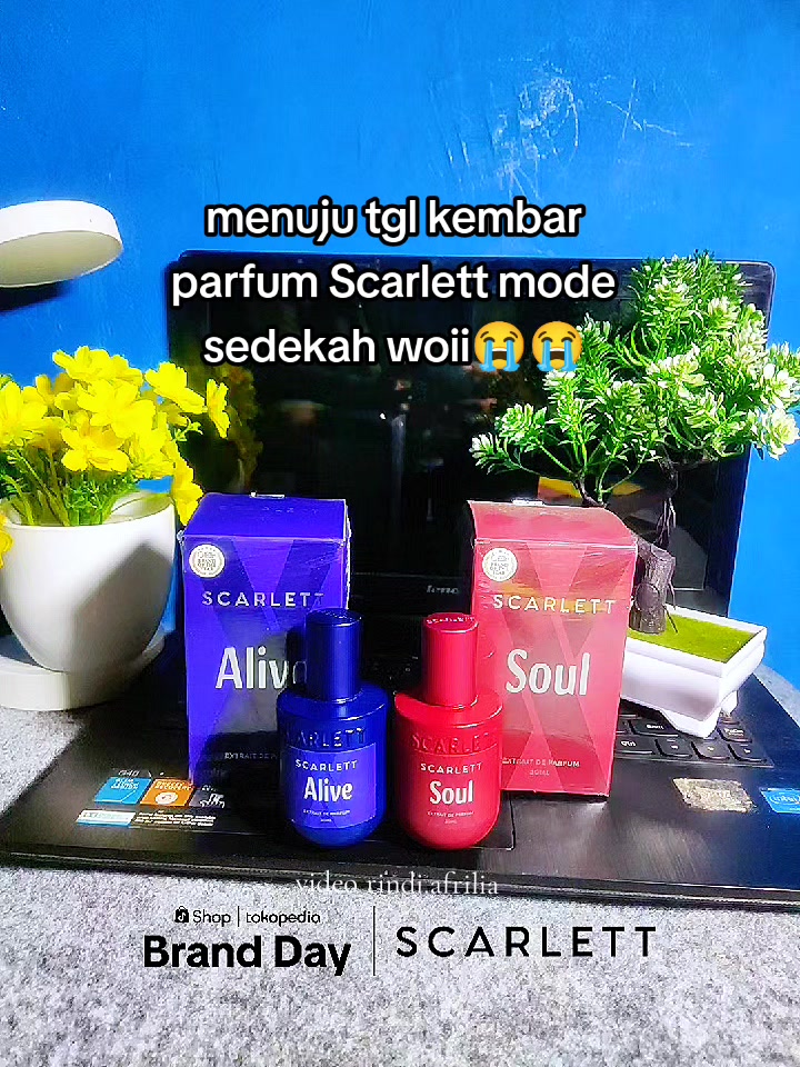 @Spal Spil by Rind✨