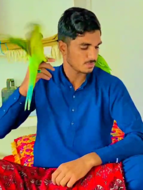 @zubair Mirani