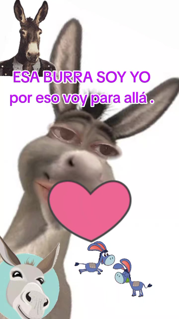 @DIOSA